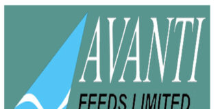 Avanti Feeds logo