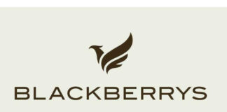 Blackberrys charts 2019 growth chapter post big transformation last year