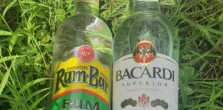 White-rum leader Bacardi now enters domestic whisky space