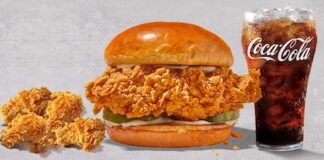 Jubilant Food Works brings US chicken brand Popeyes to Chennai