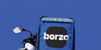 Borzo delivery