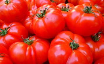 Tomato prices cooling down